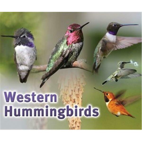 Songbird Essentials Western Hummingbird Sign SESIGNWESTHUM